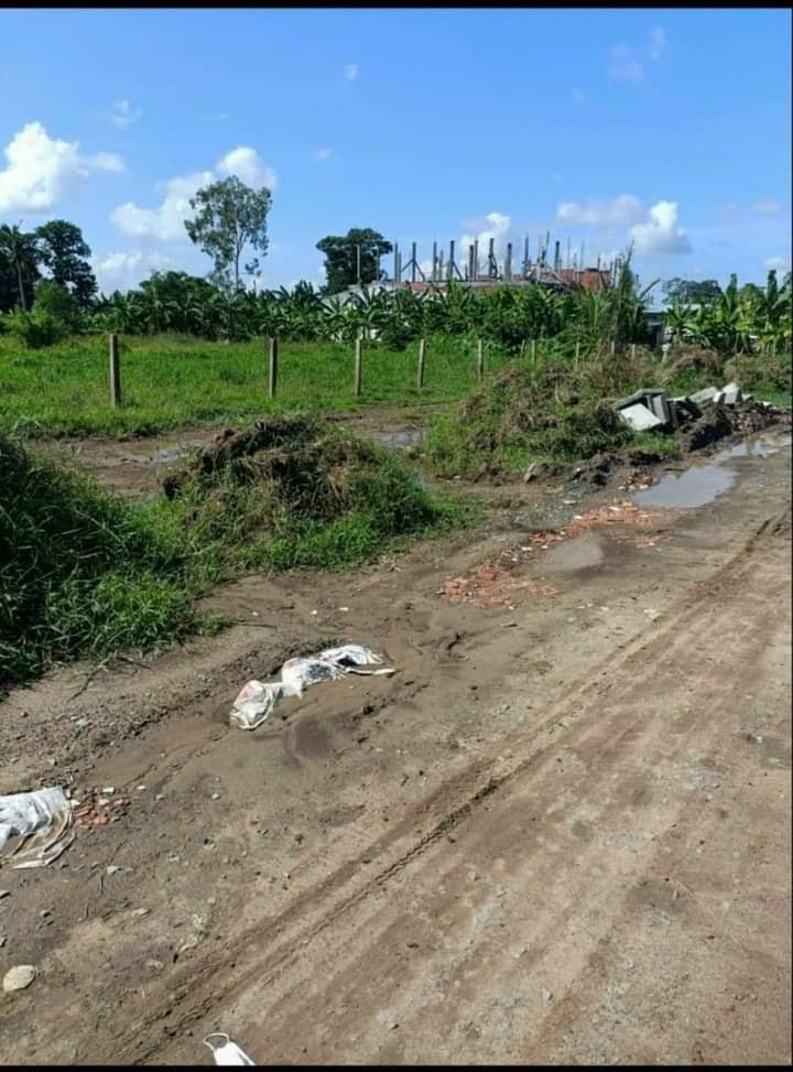 Đất Vườn Mặt Tiền Sông Bảo Định - 5000m² Tại TP Tân An, Long An - Giá 40 Tỷ