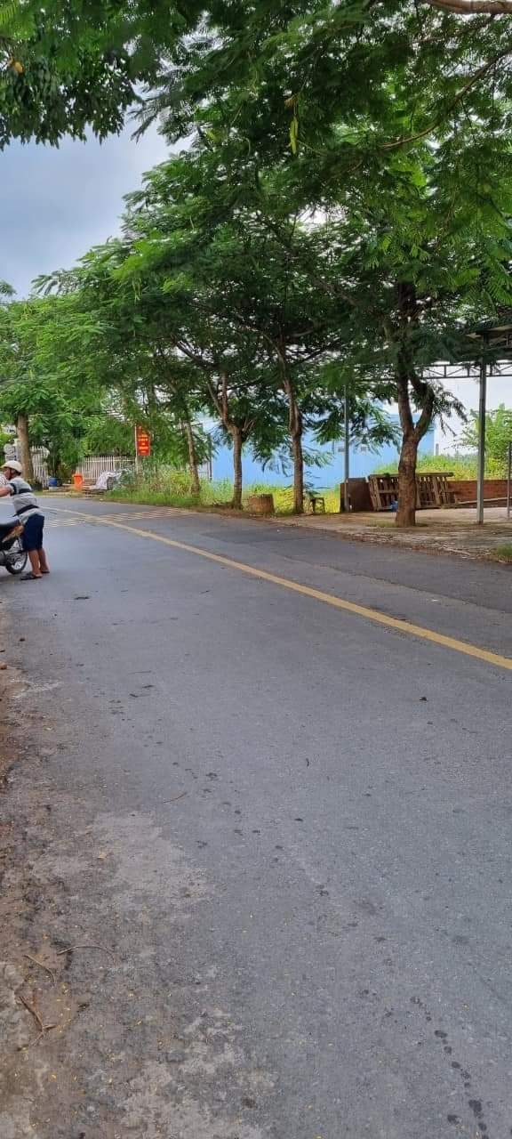 Nhà 247.9m² full thổ, MT Nguyễn Thông, Châu Thành, Long An - Giá 3 tỷ