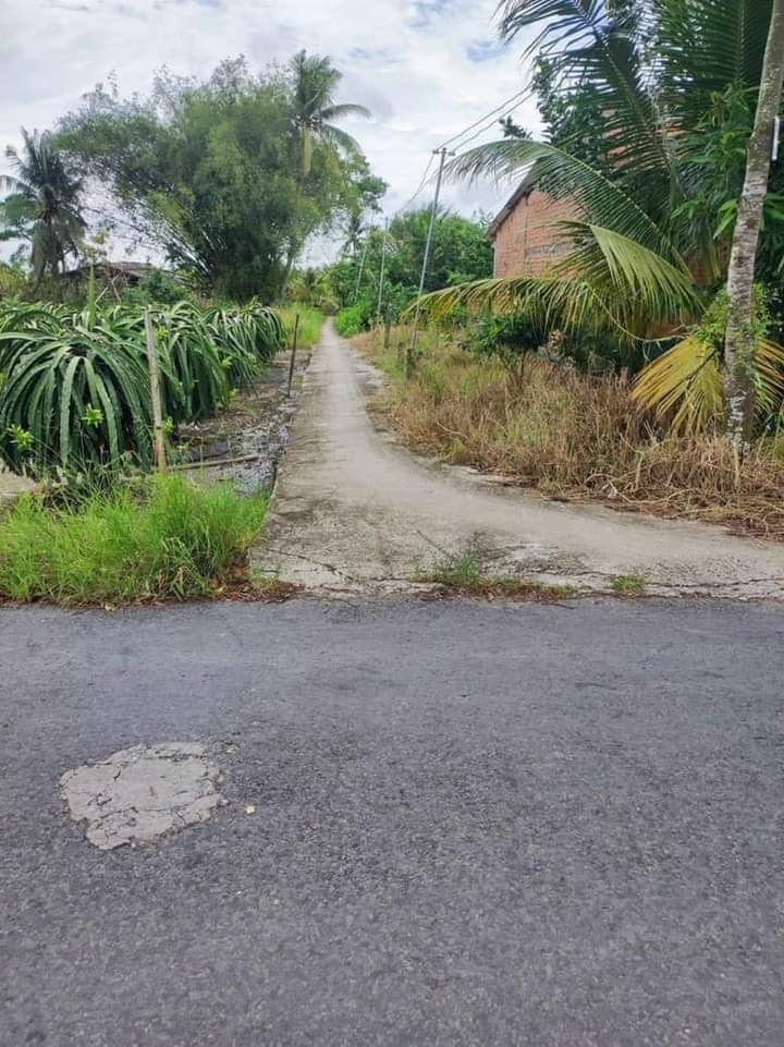 Bán Đất Nền 210m² Châu Thành, Long An - Giá 399 Triệu