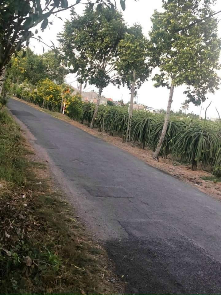 Bán đất thổ cư mặt tiền nhựa Phước Tân Hưng, Long An - 162m² giá 780 triệu