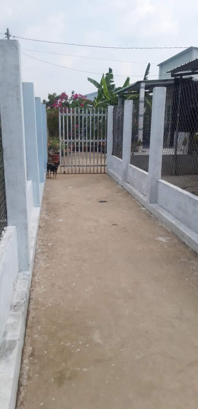 Bán Đất Tầm Vu Long An 406m² Có Nhà Mới - Sổ Hồng Sẵn Sàng