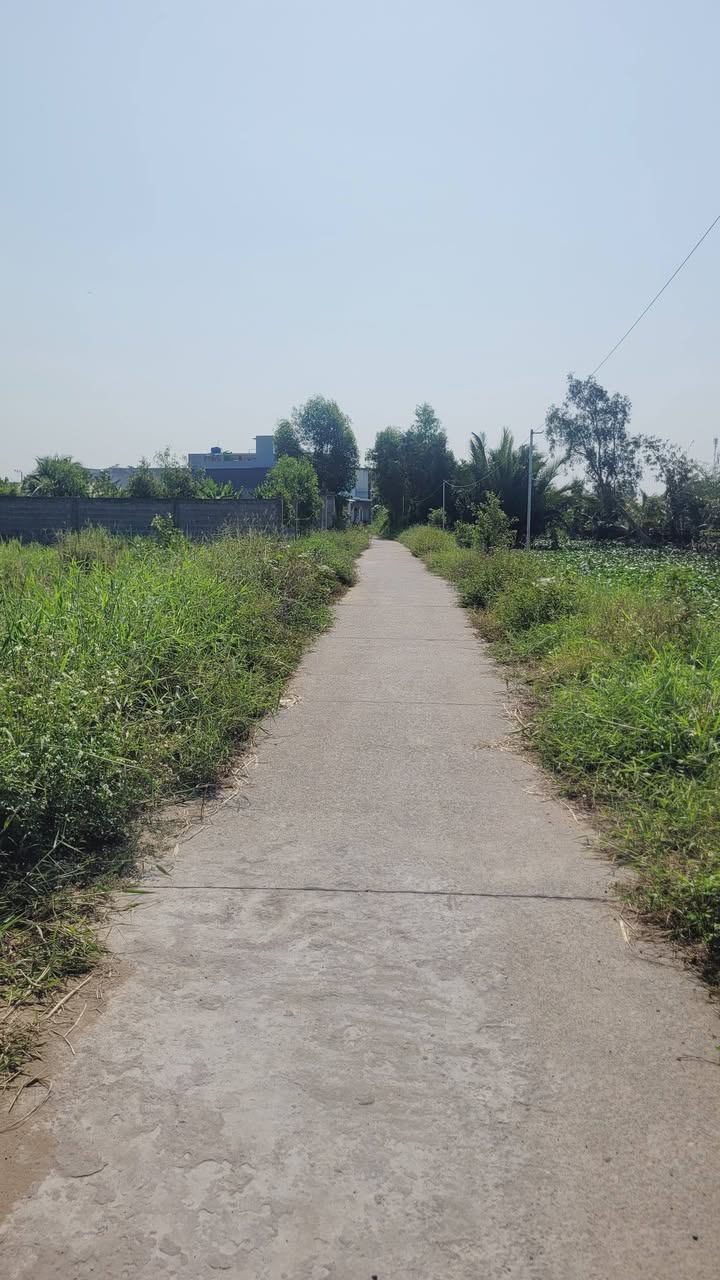 Đất thổ cư Bến Lức 200m² - Sổ hồng sẵn, giá tốt 2.2 tỷ