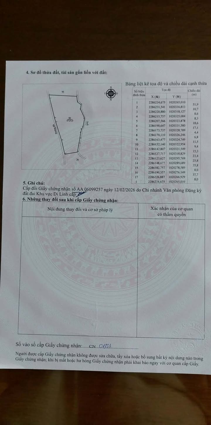 Bán Gấp Đất Vườn Cà Phê 19200m² Tại Di Linh, Lâm Đồng - Giá Tốt 2.4 Tỷ