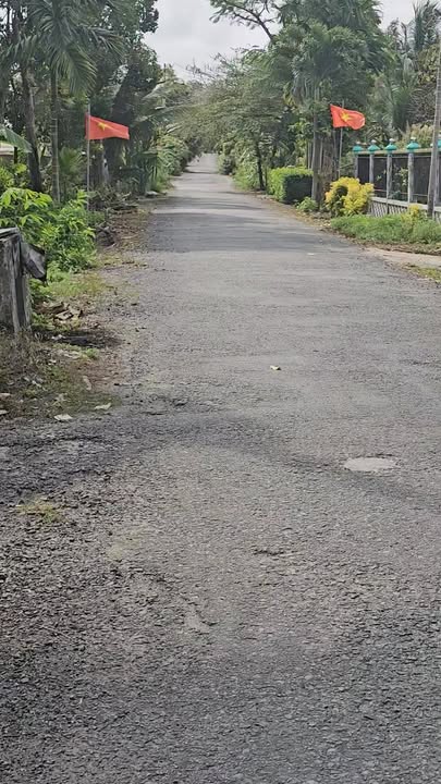 Đất Vườn Cây Lâu Năm Hậu Giang 9000m² - Mặt Tiền Rộng 32.8m