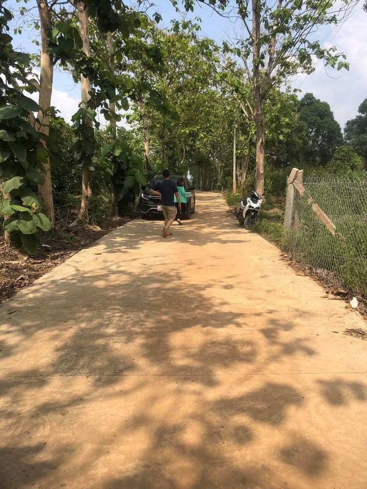 Đất Nền Định Quán 1000m² - Sổ Đỏ Sẵn Sàng, Giá Đầu Tư F0