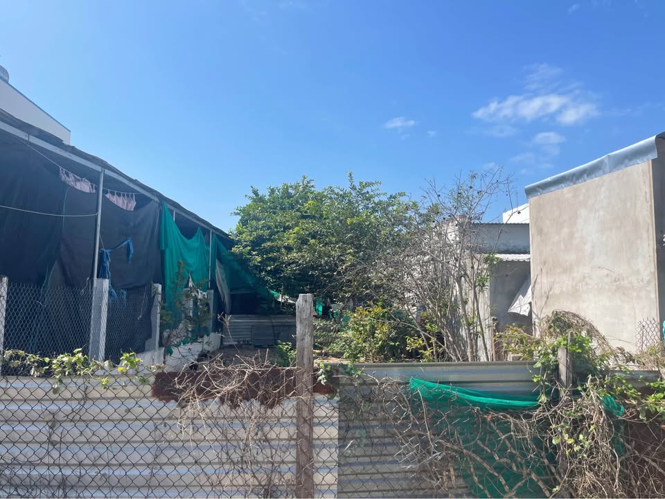 Đất nền 186m² Hướng Bắc tại Bắc Vân Phong, Khánh Hòa - Sổ đỏ thổ cư, cách biển 400m