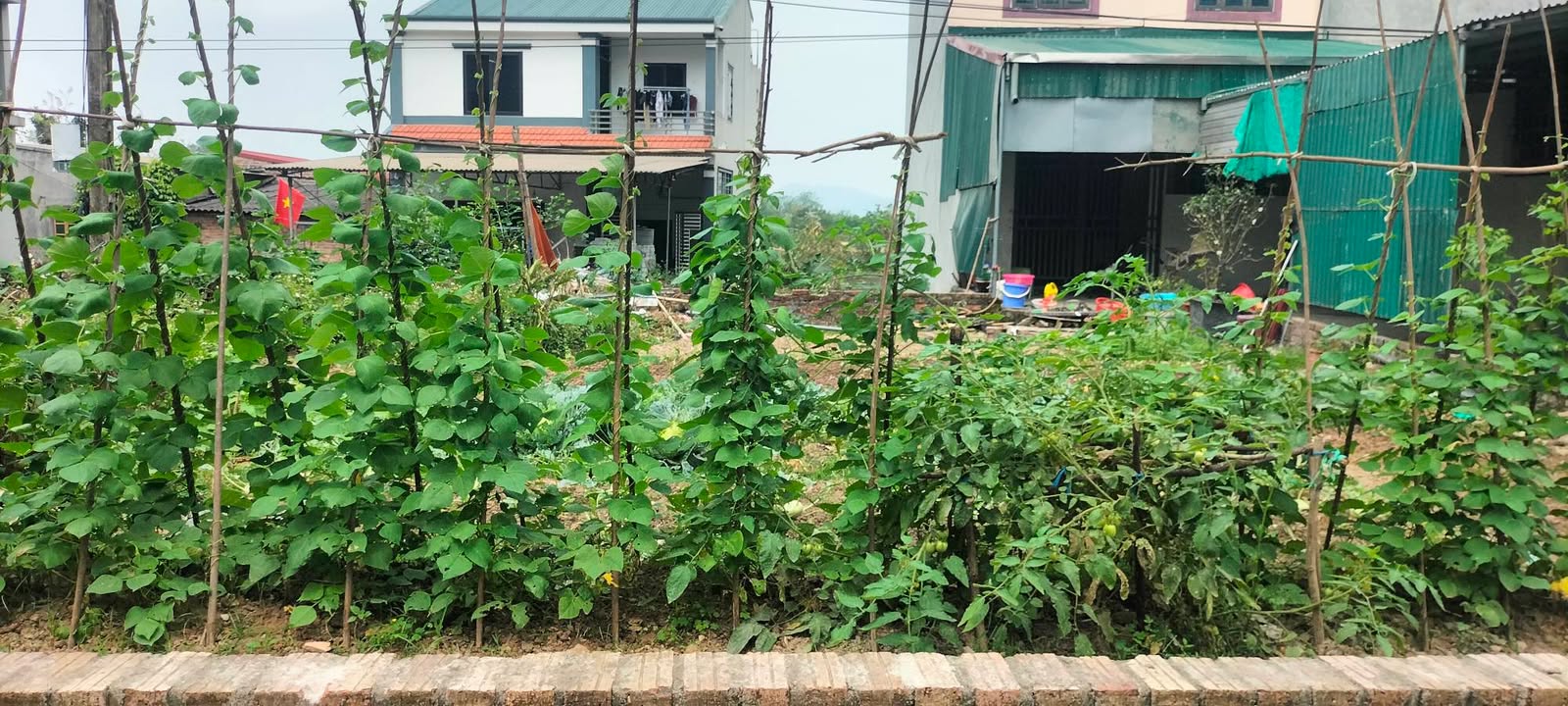 Đất Lô Góc 2 Mặt Tiền 104m² - Sóc Sơn, Hà Nội - Giá 3.12 Tỷ