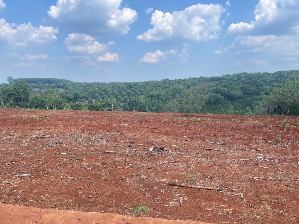 Bán Đất Vàng 10.000m² Mặt Tiền Petong, Nghĩa Trung, Bình Phước - Giá 2.3 Tỷ