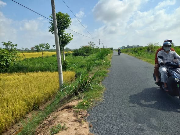 Đất nền Bình Thành Đồng Tháp 6876m² - Đầu tư dài hạn