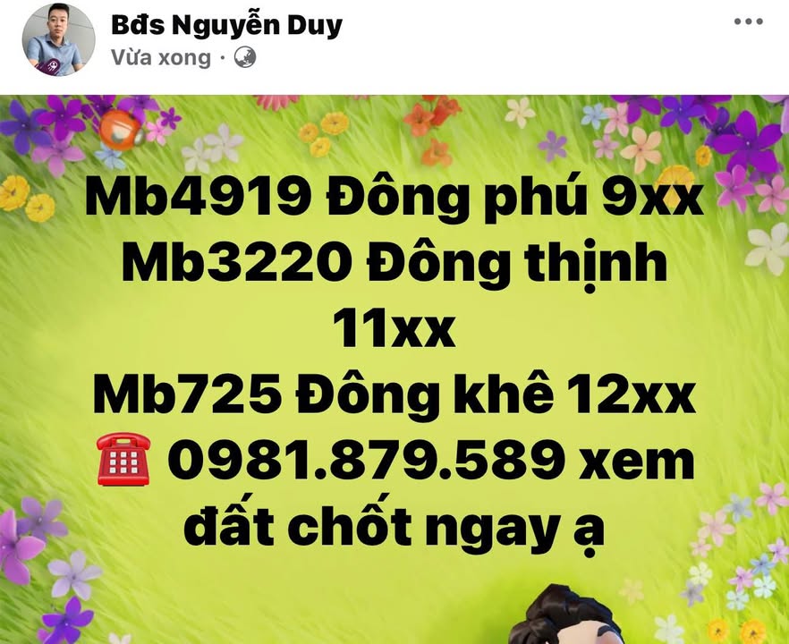 Đất nền Đông Phú, Thanh Hóa 100m² - Sổ đỏ sẵn sàng, giá 980 triệu