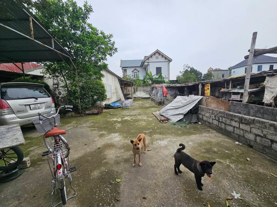 Đất nền Quảng Thành, TP. Thanh Hóa 85m² - Sổ hồng vuông vắn, giá đầu tư tốt