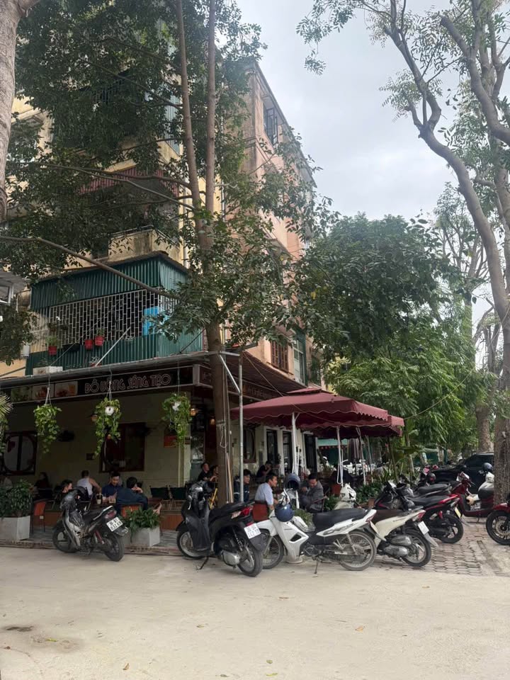 Căn Góc Chung cư Đông Phát 55m² - Kinh doanh đắc lộc