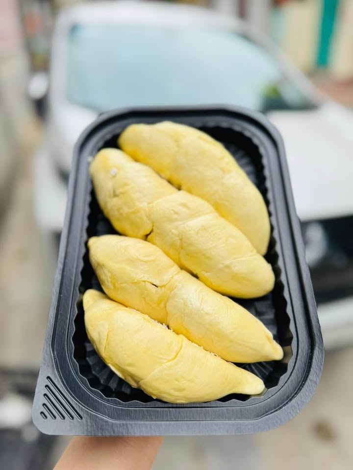 Đất nền 88m² mặt tiền 5.5m đường Nguyễn Công Trứ, TP Thanh Hóa - Ngay hồ Cái Hiền