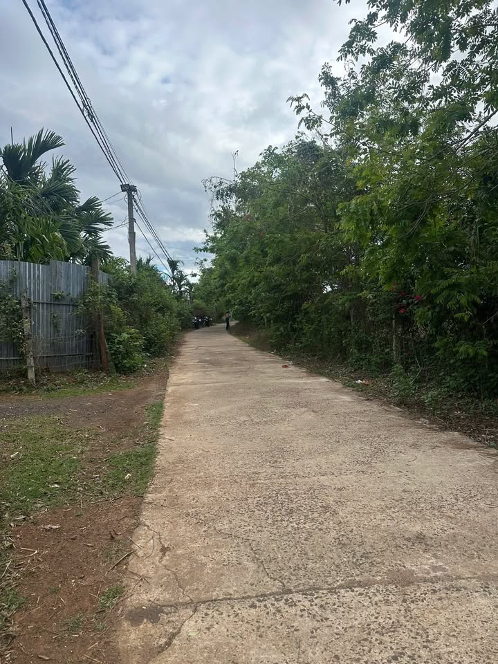 Đất Vườn View Hồ Eakao 562m² - Giá Đầu Tư 32.6 Tỷ - Đắk Lắk