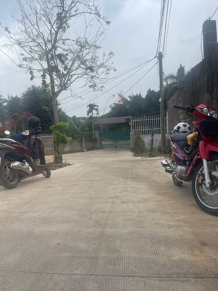 Đất Nền Buôn Ma Thuột - 100m² Gần Bùng Binh Hòa Thắng - Sổ Đỏ Thổ Cư