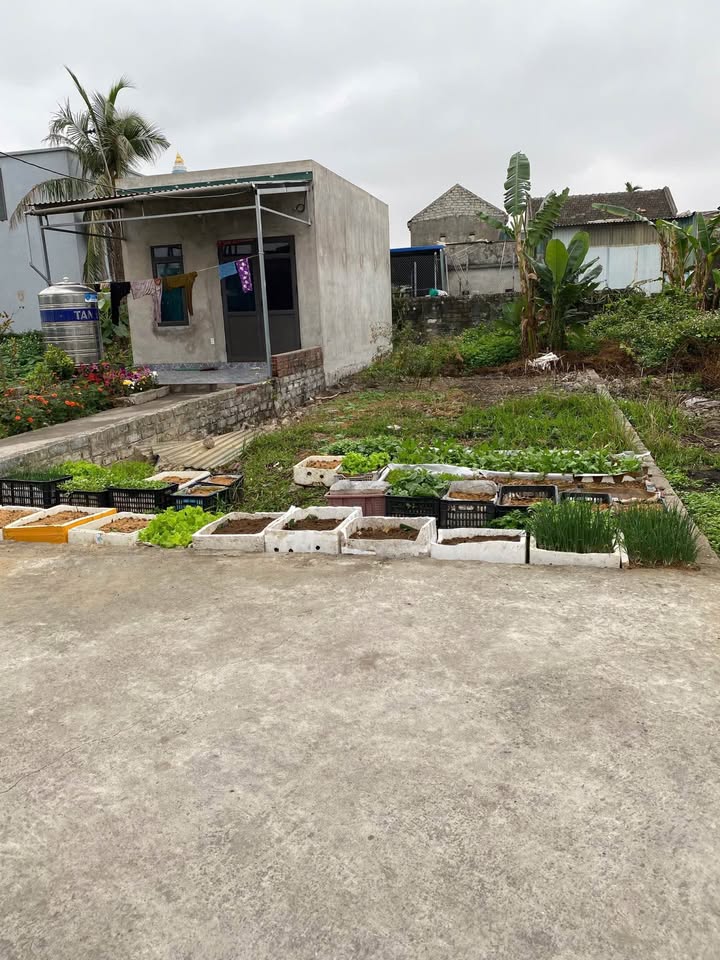 Đất nền Gia Đức 98m² - Hướng Đông Bắc, Giá chỉ 7xx triệu