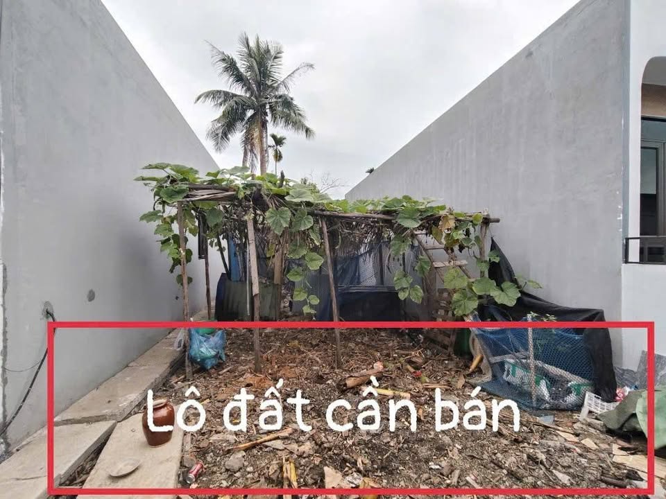 Đất Nền Thủy Nguyên, Hải Phòng - 60m² Sổ Đỏ Sẵn Sàng, Giá Chỉ 850 Triệu