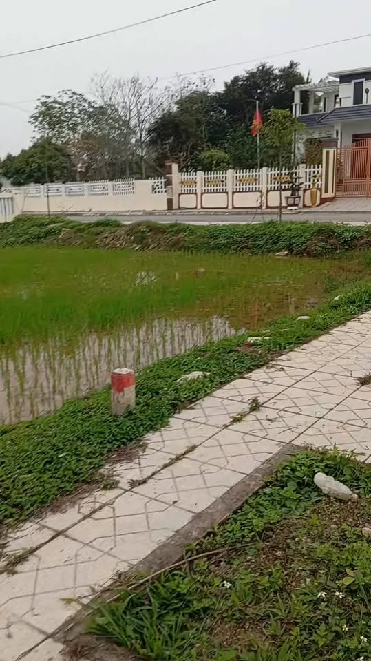 Đất nền Đông Phú Đông Sơn 100m² 1.1 tỷ - Tiềm năng tăng giá