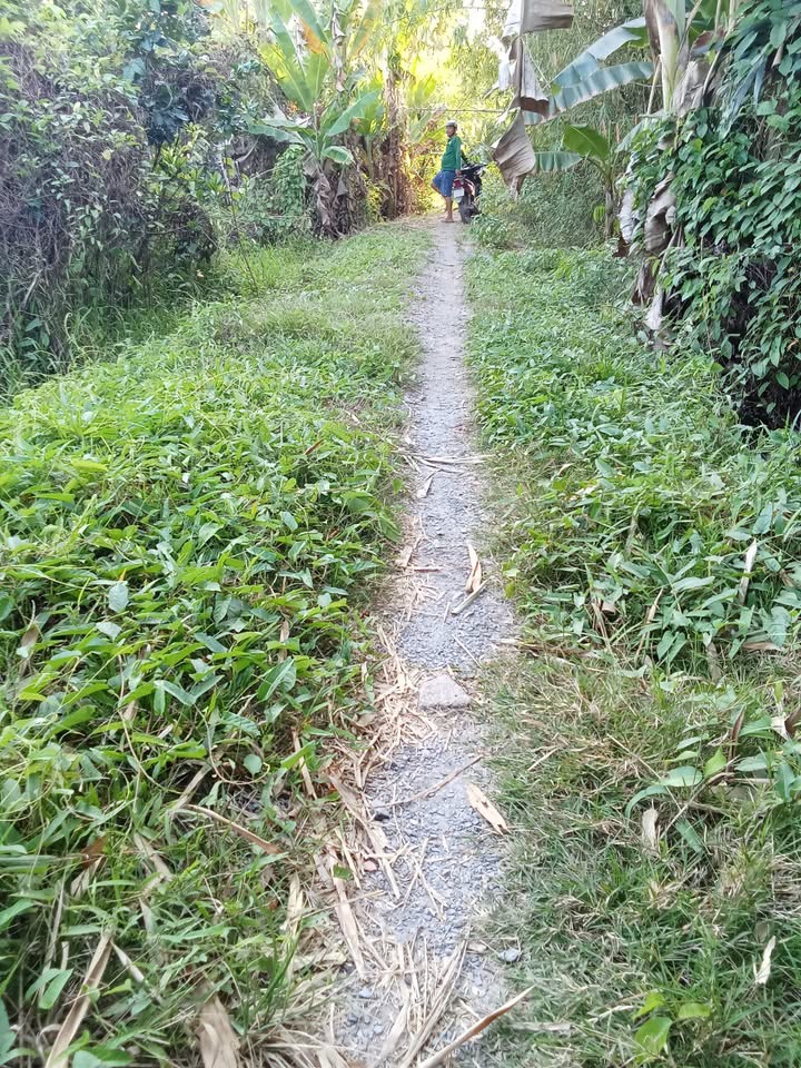 Bán Đất Vườn 10.000m² Sóc Trăng - Sổ Hồng Sẵn Sàng, Giá Đầu Tư 2 Tỷ