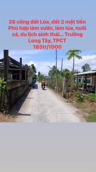 Bán 26.000m² đất farm tại Phong Điền, Cần Thơ - Sẵn sàng đầu tư