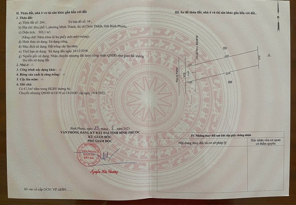 Đất nền Bàu Bàng 500m² (10x50m) - Sổ đỏ thổ cư, gần Becamex