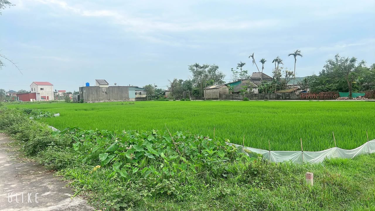 Đất Nền 126m² Tượng Sơn, Hà Tĩnh - Giá 1.2 Tỷ, Sẵn Sổ Hồng