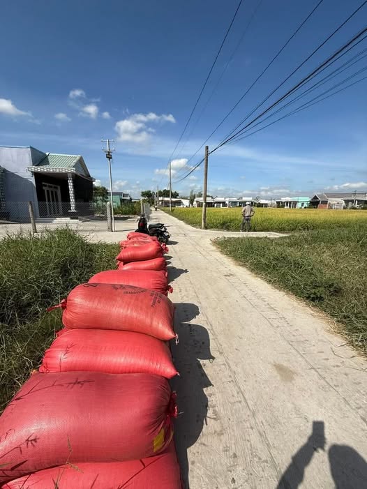 Đất nền Long Hưng Gò Công 225m² 599tr - Sổ đỏ chính chủ