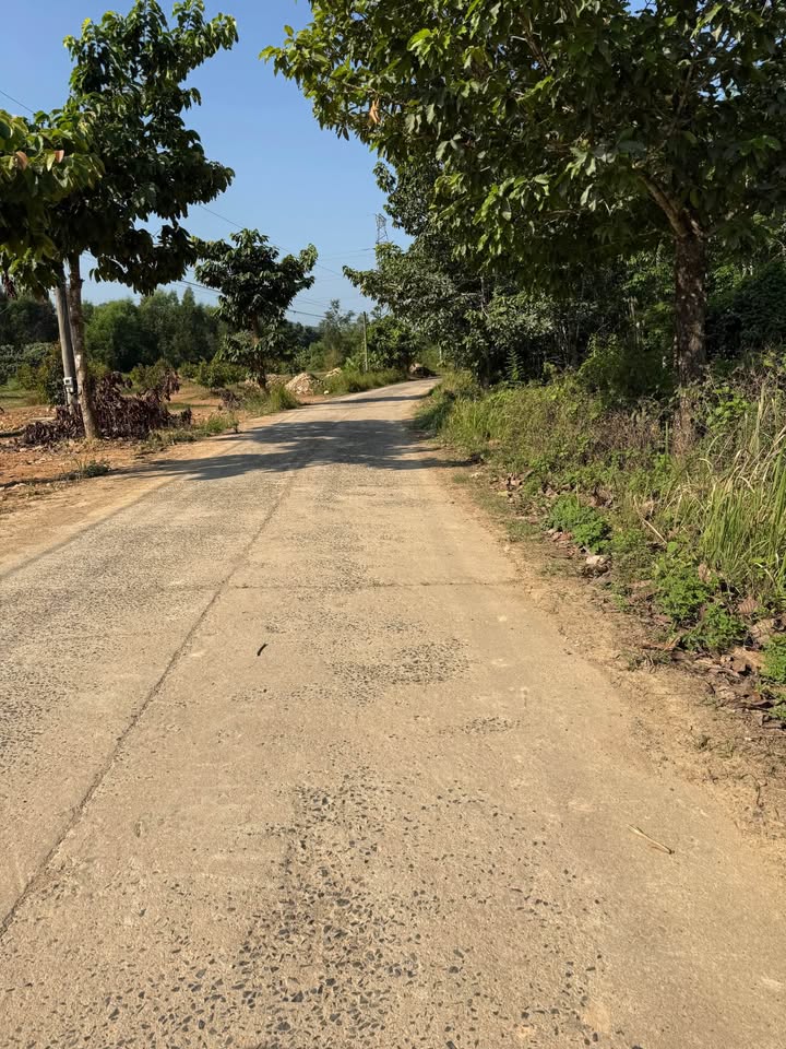 Đất Vàng 1.3ha Mặt Tiền Lớn Đạ Huoai, Lâm Đồng - Sẵn Sổ Đỏ