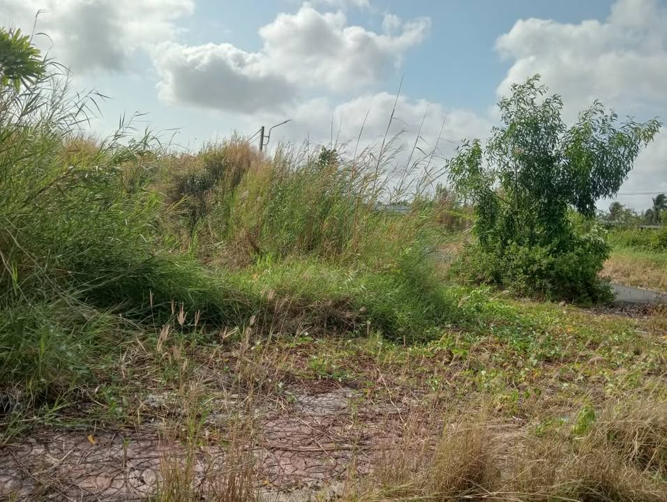 Đất Thổ Cư 120m² Đường Số 8 Hoàng Tâm, Cà Mau - Sẵn Sàng Xây Nhà