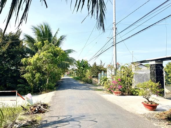 Bán Gấp Nhà Vườn Nghỉ Dưỡng 1015m² Ấp Bình Trung, Tiền Giang - Giá 3.1 Tỷ