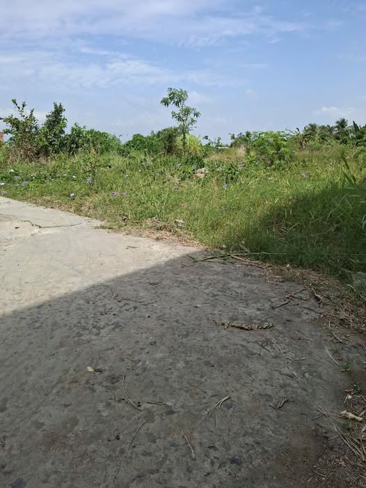 Bán Gấp Đất Nền Tân Điền, Tiền Giang 100m² Thổ Cư - Giá 265 Triệu