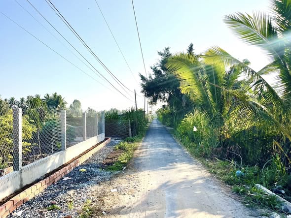 Bán Đất Vườn Tiền Giang 1000m² - Ao Cá, Cây Ăn Trái, Sổ Hồng Sẵn