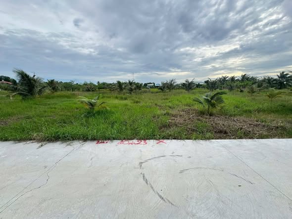 Đất Vườn Gò Công 300m² - 550 Triệu, Xe Hơi Tới Đất, Sổ Hồng Sẵn