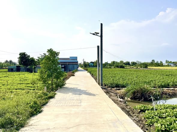 Đất Nền 112m² Long Hưng, Gò Công - An Cư Lý Tưởng, Giá 490 Triệu