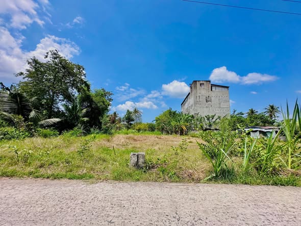 Đất nền Long Bình, Tiền Giang - 196m² Sổ hồng riêng, chỉ 350 triệu