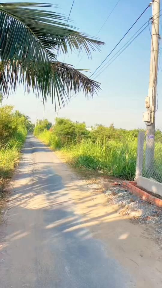 Bán Nhà Vườn Tiền Giang 1000m² - Ao Cá, Cây Ăn Trái, Sổ Hồng Sẵn Sàng