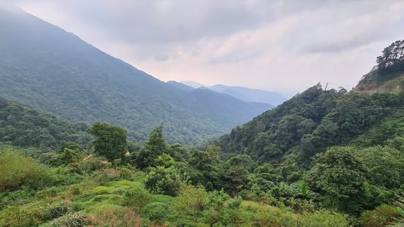 Đất nền Tam Đảo 629m² - Siêu phẩm kinh doanh khách sạn, homestay