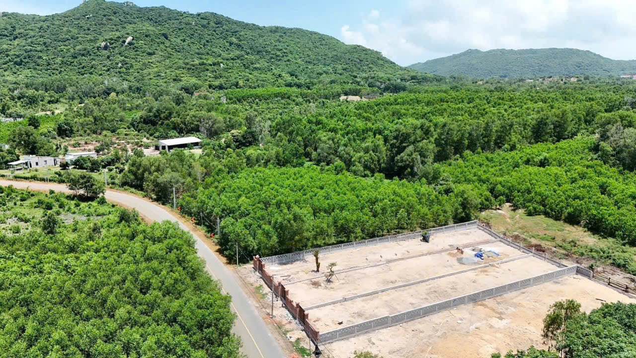 Đất Vườn Phước Hải 646m² - Sổ Đỏ Rõ Ràng - Chỉ 2.8 Tỷ