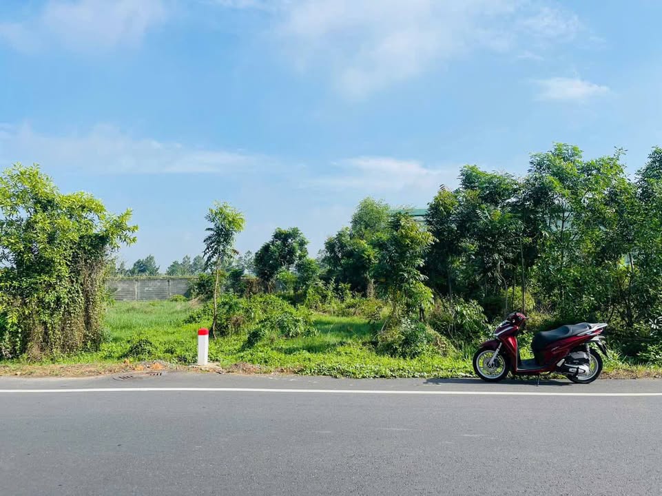 Đất Vàng Củ Chi - Mặt Tiền Tỉnh Lộ 7, Thái Mỹ - 191m² Giá Tốt