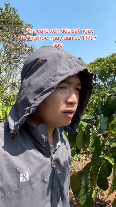 Bán Gấp Farm Cafe Tiêu 17.000m² Đắk Mil - Sổ Đỏ, Sẵn Sàng Kinh Doanh