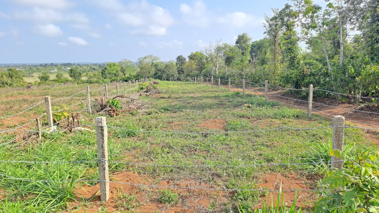 Đất Nền Ea Drông 600m² - Mặt Tiền 27m, Sổ Hồng, Sẵn Sàng Kinh Doanh