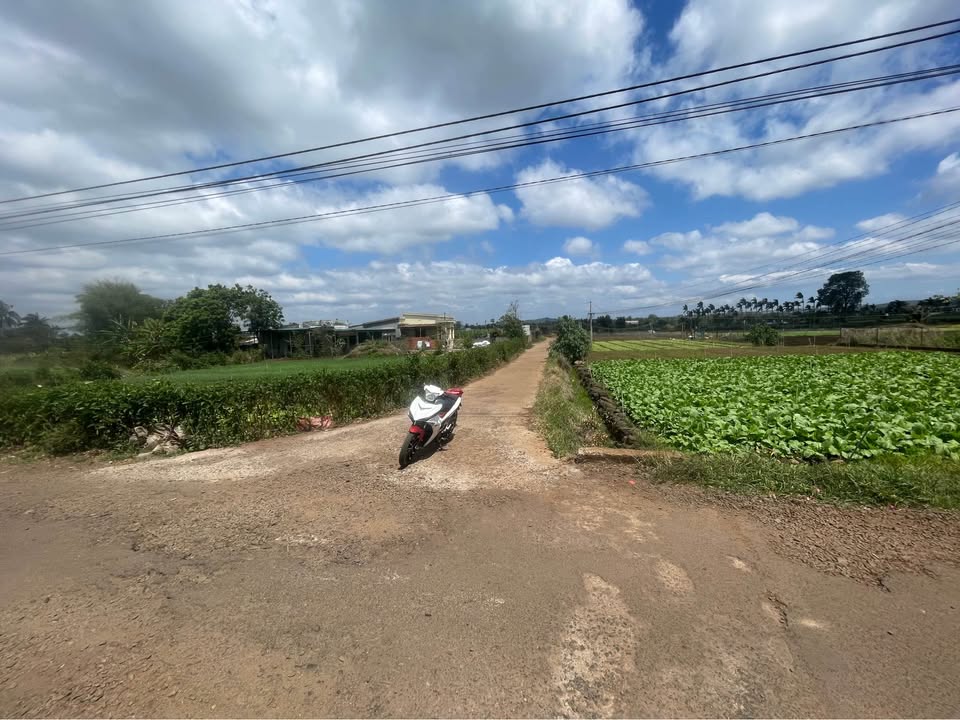 Đất thổ cư 1500m² Đắk Lắk - Giá 1.79 tỷ - Gần chợ Eakao