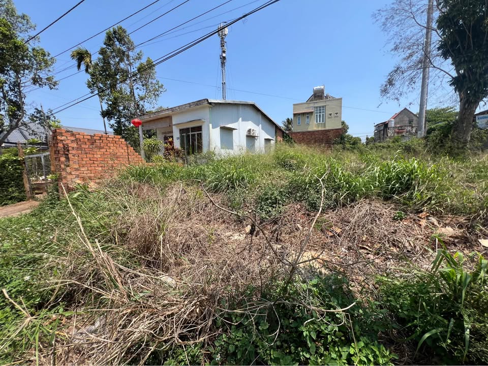 Đất Nền 125m² Ngay Ngã 3 Sân Bay BMT - 3.6 Tỷ