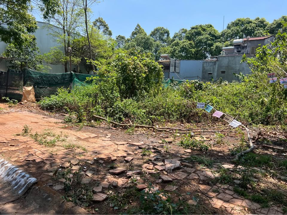 Đất Mặt Tiền Phạm Văn Đồng BMT - 115m² Thổ Cư - Giá 4.7 Tỷ