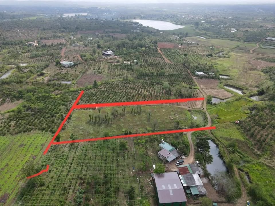 Bán đất đỏ Eadrông Buôn Hồ 5000m² - Sẵn sổ thổ cư, giá 1.1 tỷ