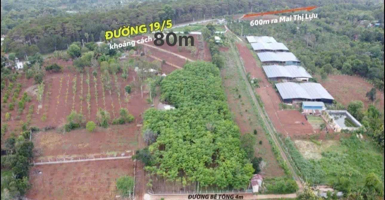 Đất Sào 500m² Hẻm C1, Đường 19/5, Buôn Ma Thuột - Giá 1.49 Tỷ