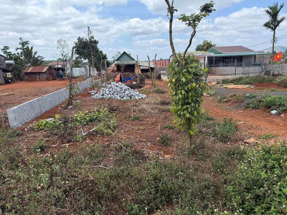 Bán Đất Mặt Tiền QL14, Ea H'leo, Đắk Lắk - 500m² Sẵn Sổ