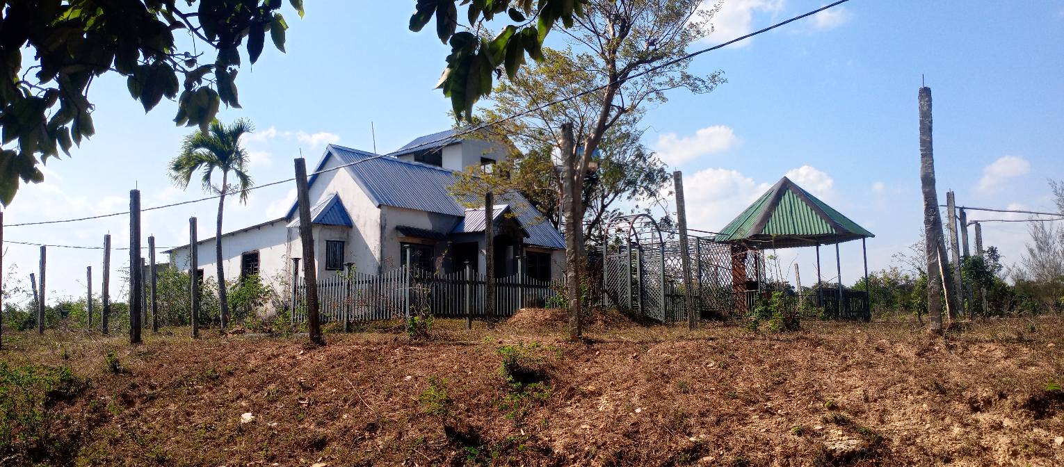 Bán Gấp 2ha Đất Nông Nghiệp Ea Kao, Đắk Lắk - Sẵn Sàng Làm Trang Trại