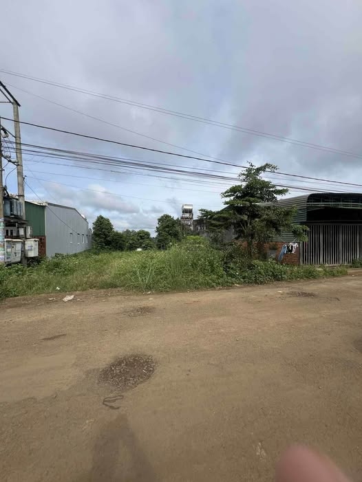 Đất Vàng Ngô Quyền, Đắk Mil - 3000m², Sổ Hồng Chính Chủ, Giá 840 Triệu