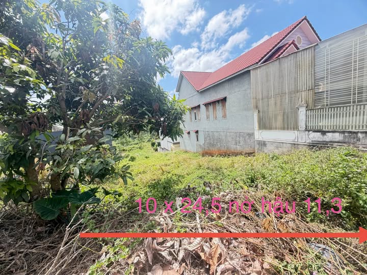 Đất TĐC Đắk Nút A - Gia Nghĩa 253m² (Nở hậu) - 2.3 Tỷ, Gần Hồ Trung Tâm